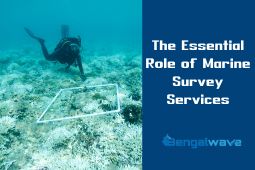 The Essential Role of Marine Survey Services in Modern Maritime Operations